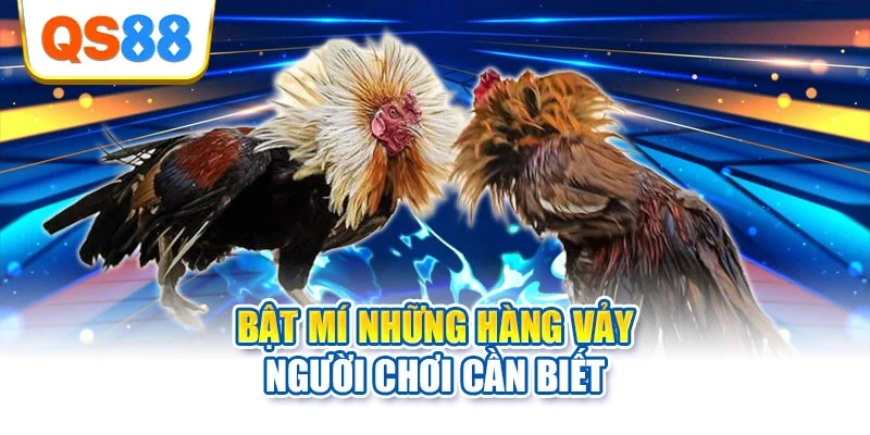Bật mí những hàng vảy người chơi cần biết