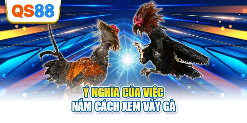 Ý nghĩa của việc nắm cách xem vảy gà
