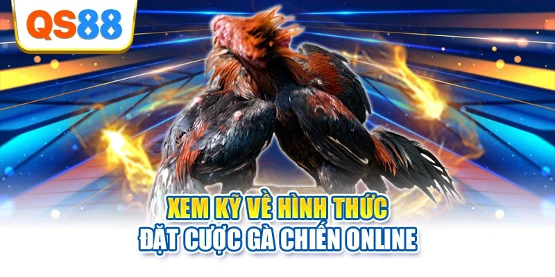 Xem kỹ về hình thức đặt cược gà chiến online