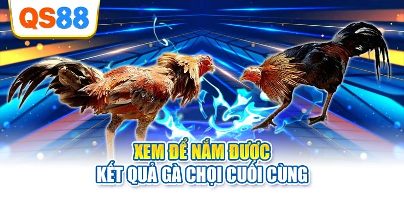 Xem để nắm được kết quả gà chọi cuối cùng
