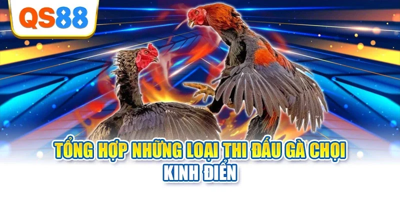 Tổng hợp những loại thi đấu gà chọi kinh điển