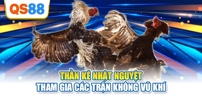 Thần kê Nhật Nguyệt tham gia các trận không vũ khí