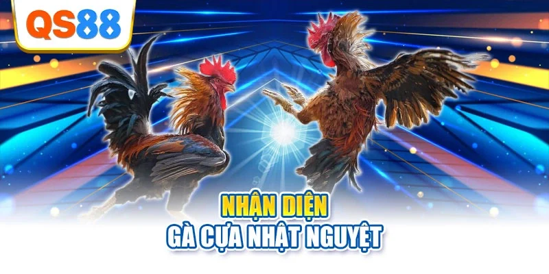 Nhận diện gà cựa Nhật Nguyệt