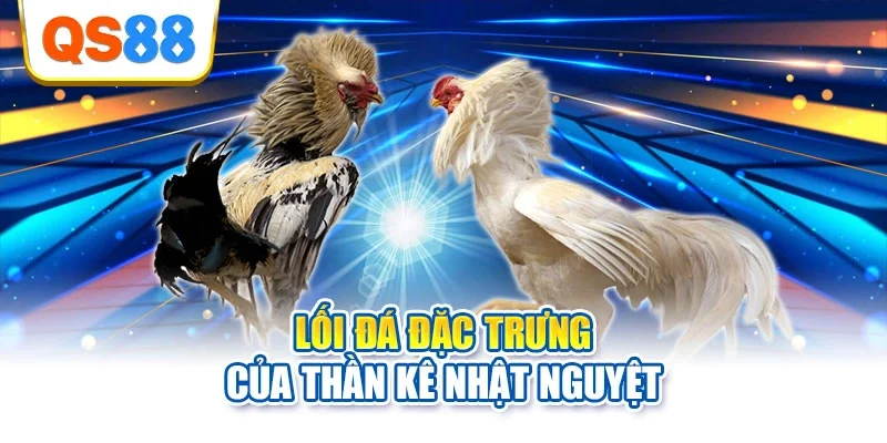 Lối đá đặc trưng của thần kê Nhật Nguyệt