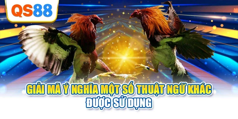 Giải mã ý nghĩa một số thuật ngữ khác được sử dụng