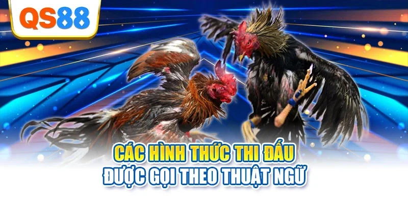 Các hình thức thi đấu được gọi theo thuật ngữ