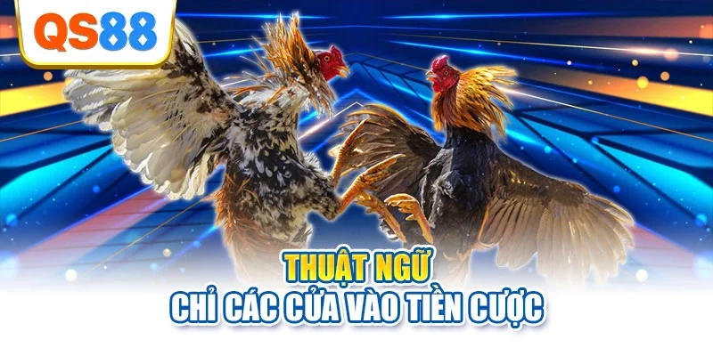 Thuật ngữ chỉ các cửa vào tiền cược