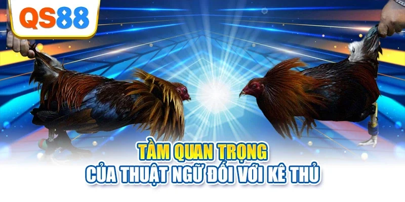 Tầm quan trọng của thuật ngữ đối với kê thủ